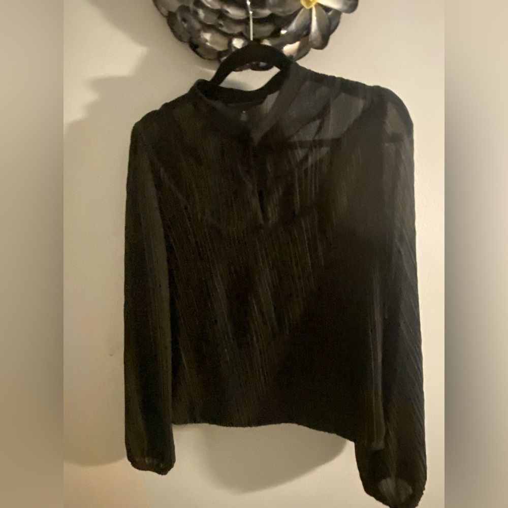 White House Black Market Sheer M Blouse